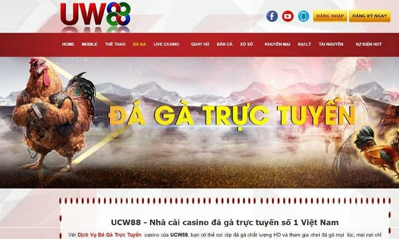 UW88 - UCW88 | Nhà Cái Uy Tín Hàng Đầu Châu Á - Ảnh 1