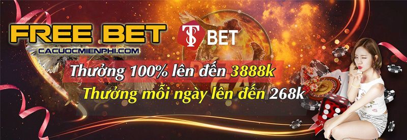 T8betvip-3