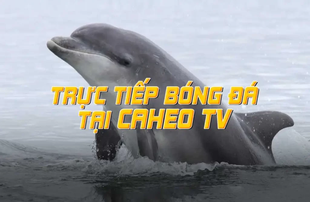 caheo-TV
