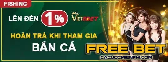 viet8bet-1