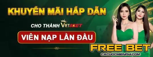 viet8bet-3