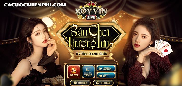 royvin-live