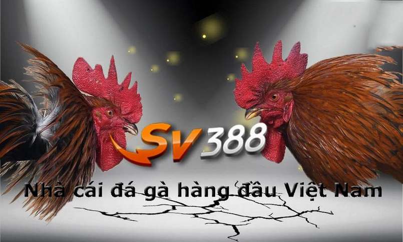 sv388-1
