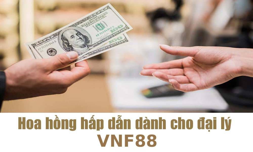 Hoa-hong-danh-cho-agent